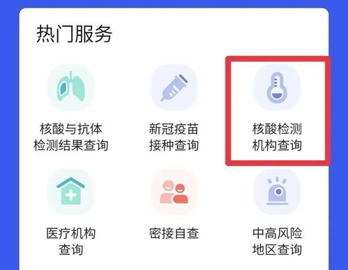 四川省核酸檢測信息系統上線 一鍵查詢，便捷安心